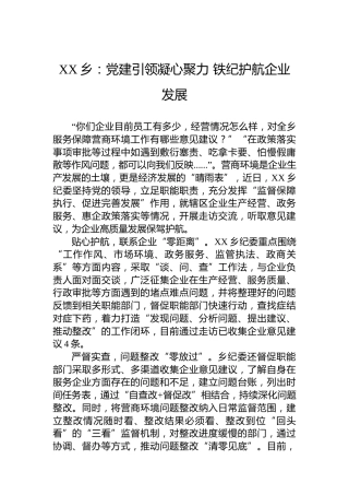 乡：党建引领凝心聚力 铁纪护航企业发展（20230428）