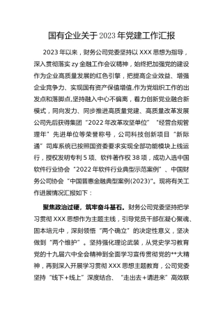 国有企业2023年党建工作汇报
