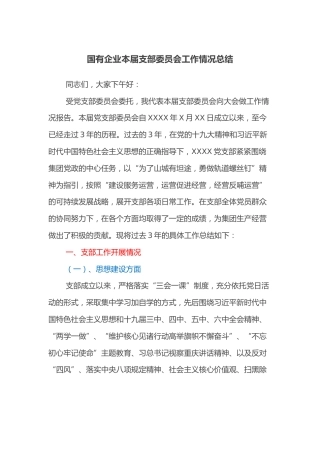 国有企业本届支部委员会工作情况总结
