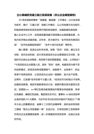 立心铸魂抓党建三融三促谋发展（非公企业典型案例）
