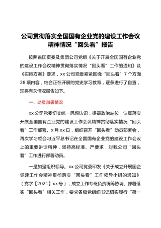 公司贯彻落实全国国有企业党的建设工作会议精神情况“回头看”报告