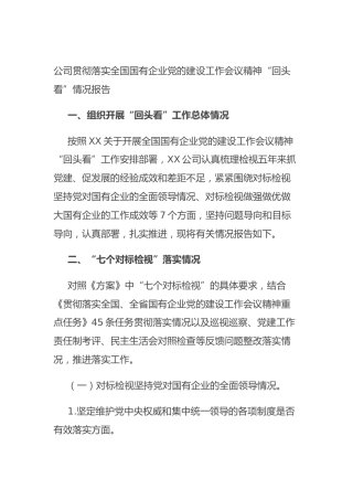 公司贯彻落实全国国有企业党的建设工作会议精神“回头看”情况报告