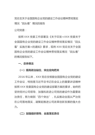 党总支关于全国国有企业党的建设工作会议精神贯彻落实情况“回头看”情况的报告