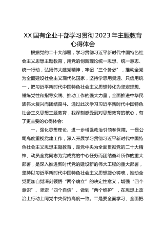 XX国有企业干部学习贯彻2023年主题教育心得体会
