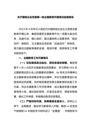 国有企业党委第一批主题教育开展情况自查报告