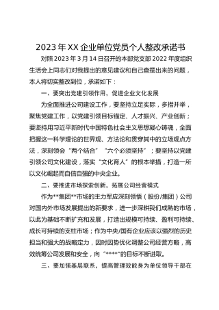 2023年XX企业单位党员个人整改承诺书