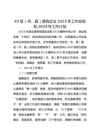 区（市、县）国有企业2023年工作总结和2024年工作计划