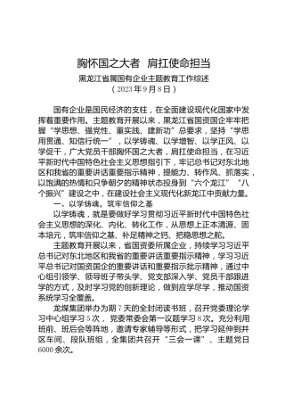 工作总结：20230908黑龙江省属国有企业主题教育工作综述