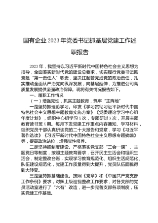 2023年国有企业党委书记抓基层党建工作述职报告