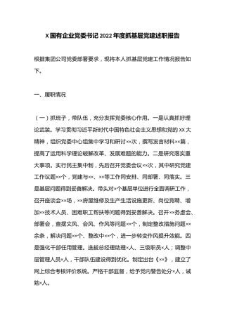 X国有企业党委书记2022年度抓基层党建述职报告