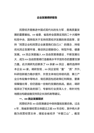 企业发展调研报告（2024.06）