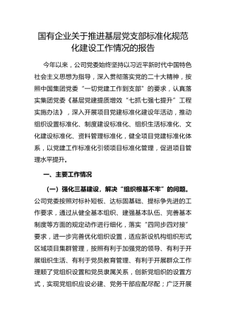 国有企业推进基层党支部标准化规范化建设工作情况的报告