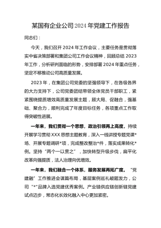 国有企业公司2024年党建工作报告