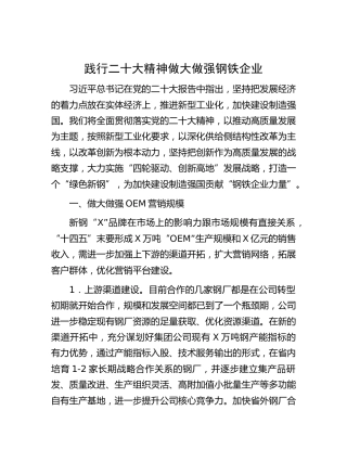 践行二十大精神   做大做强钢铁企业