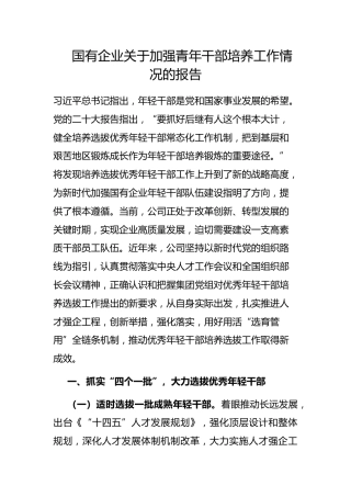 国有企业加强青年干部培养工作情况的报告