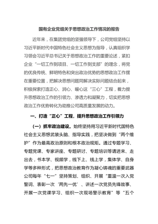 国有企业党组思想政治工作情况的报告