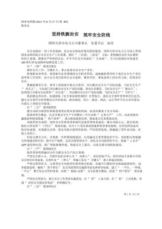 国网天津市电力公司董事长党委书记赵亮：坚持铁腕治安筑牢安全防线