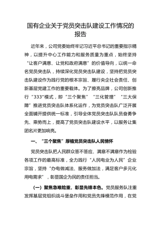 国有企业党员突击队建设工作情况的报告