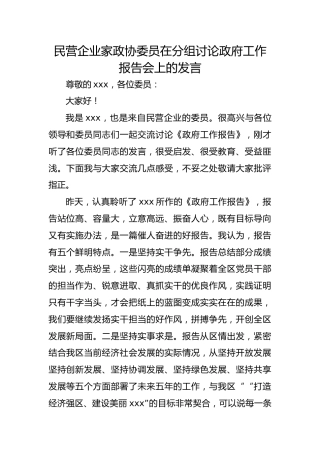 民营企业家政协委员在分组讨论政府工作报告会上的发言