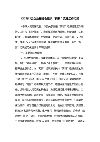 XX市非公企业和社会组织“两新”党建工作汇报