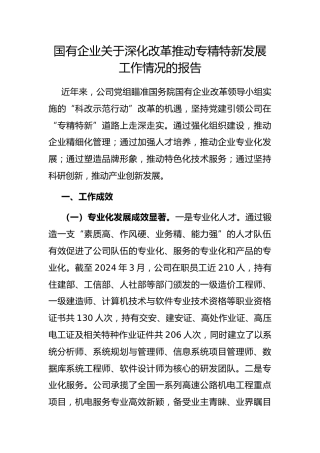 国有企业 深化改革推动专精特新发展工作情况的报告
