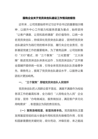 国有企业 党员突击队建设工作情况的报告