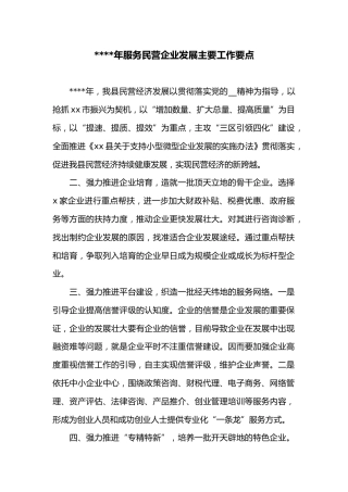 2022年服务民营企业发展主要工作要点