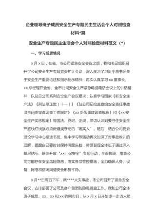 (2篇)企业领导班子成员安全生产专题民主生活会个人对照检查材料