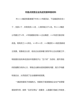 市重点民营企业先进党委申报材料