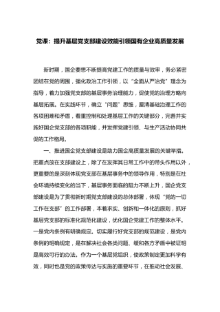 党课：提升基层党支部建设效能引领国有企业高质量发展