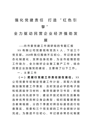 20200423：强化党建责任打造红色引擎全力驱动民营企业经济强劲发展向市委党建工作调研组的专题汇报