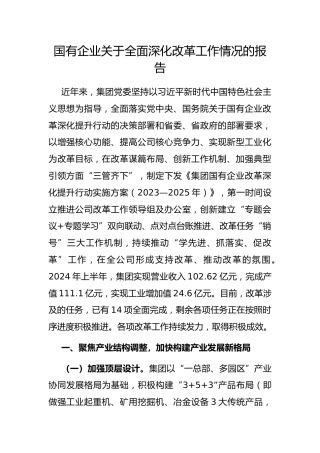 国有企业全面深化改革工作情况的报告