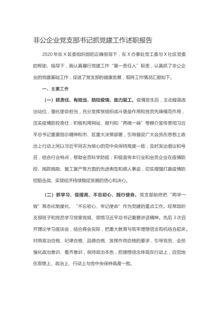 20201121：非公企业党支部书记抓党建工作述职报告