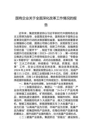 国有企业 全面深化改革工作情况的报告