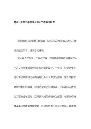 企业2022年度选人用人工作情况报告