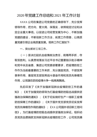 20211230：企业：XX公司2020年党建工作总结和2021年工作计划