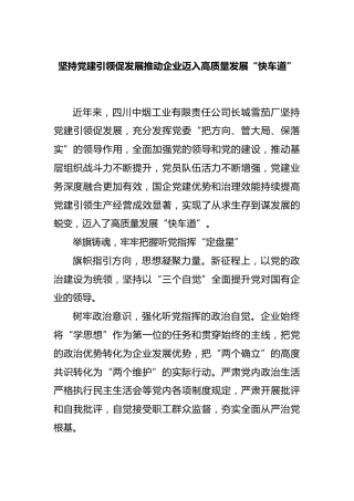 坚持党建引领促发展推动企业迈入高质量发展“快车道”