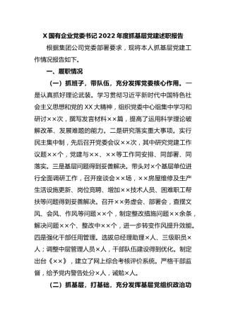 国有企业党委书记2022年度抓基层党建述职报告