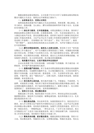 国企业巡察整改专题民主生活会召开情况的总结报告