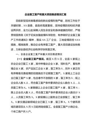 20200303：县企业复工复产和重大项目推进情况汇报