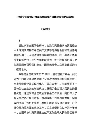 民营企业家学习贯彻两会精神心得体会发言材料集锦（12条）