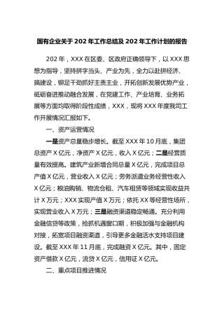 国有企业202年工作总结及202年工作计划的报告