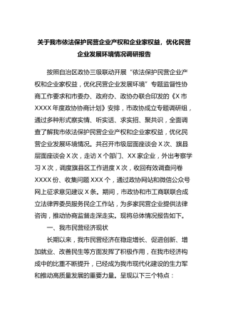 我市依法保护民营企业产权和企业家权益，优化民营企业发展环境情况调研报告