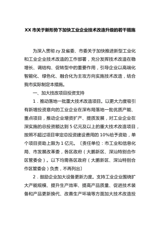 市新形势下加快工业企业技术改造升级的若干措施