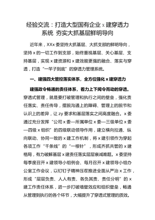 经验交流：打造大型国有企业X建穿透力系统 夯实大抓基层鲜明导向