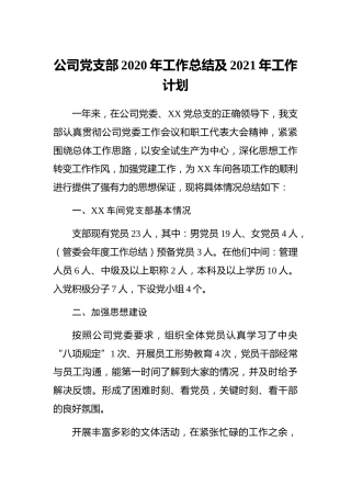 20211230：企业：公司党支部2020年工作总结及2021年工作计划