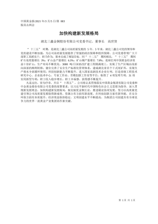湖北三鑫金铜股份有限公司党委书记、董事长高世贤：加快构建新发展格局