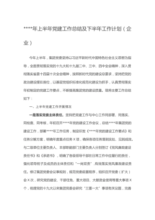 2020年上半年党建工作总结及下半年工作计划（企业）