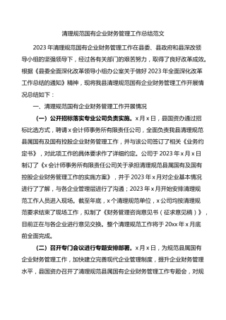 清理规范国有企业财务管理工作总结汇报报告