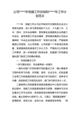 企业：公司2020年党建工作总结和2021年工作计划范文